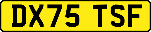 DX75TSF