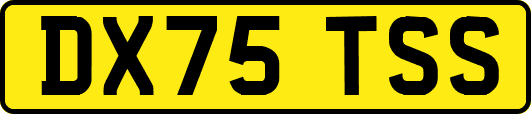 DX75TSS
