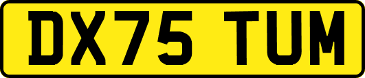 DX75TUM