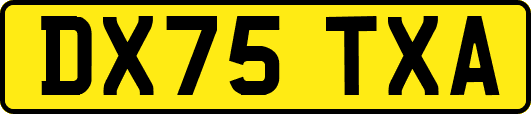 DX75TXA