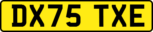 DX75TXE