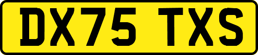 DX75TXS