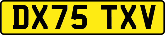 DX75TXV