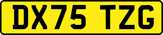 DX75TZG