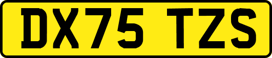 DX75TZS