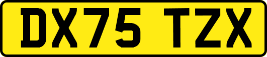 DX75TZX