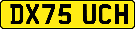 DX75UCH