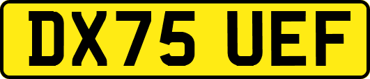 DX75UEF