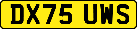 DX75UWS