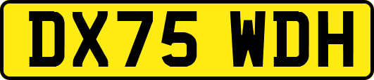 DX75WDH