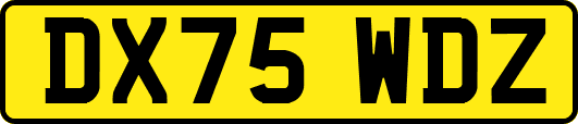 DX75WDZ