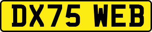 DX75WEB