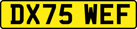 DX75WEF
