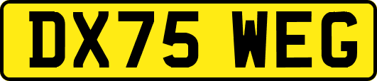 DX75WEG