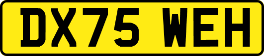 DX75WEH