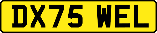 DX75WEL