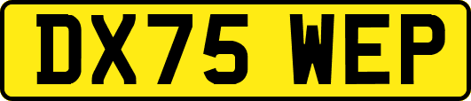 DX75WEP