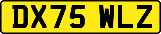 DX75WLZ