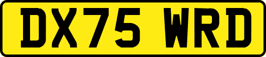 DX75WRD