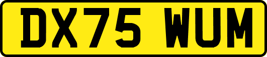 DX75WUM