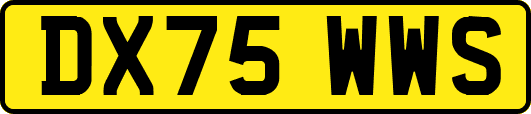 DX75WWS