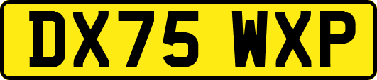 DX75WXP
