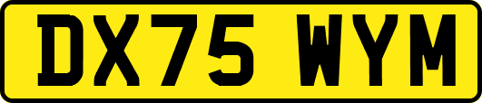 DX75WYM