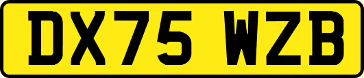 DX75WZB