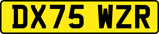 DX75WZR