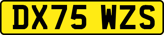 DX75WZS