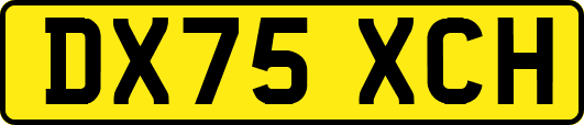 DX75XCH