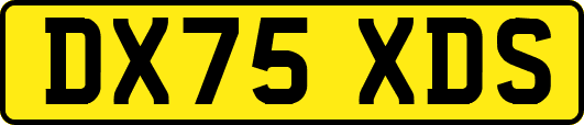DX75XDS