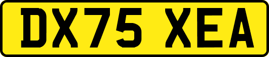 DX75XEA