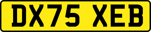 DX75XEB