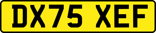 DX75XEF