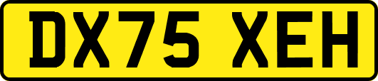 DX75XEH