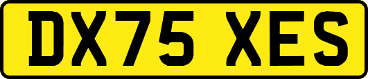 DX75XES