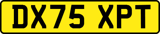 DX75XPT