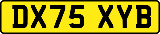 DX75XYB