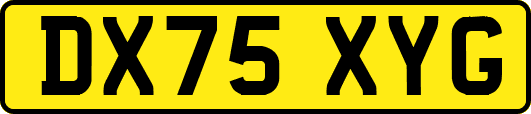 DX75XYG