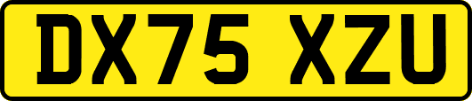 DX75XZU