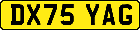 DX75YAG