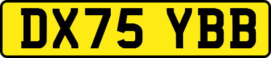 DX75YBB