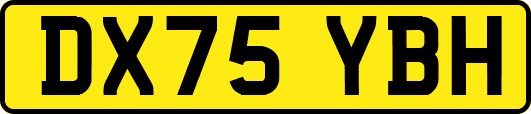 DX75YBH