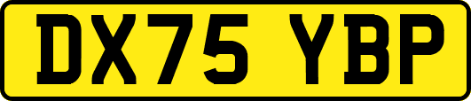 DX75YBP