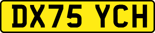 DX75YCH