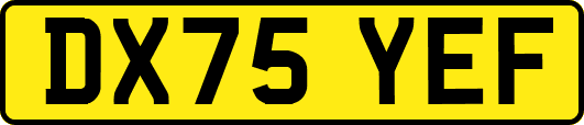 DX75YEF