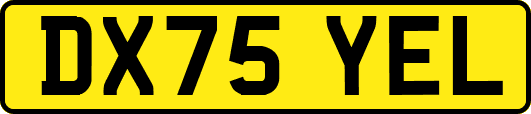DX75YEL