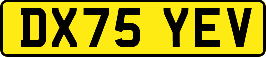 DX75YEV