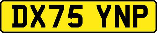 DX75YNP